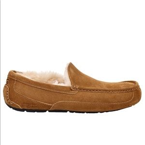 BRAND NEW UGG Australia Men's Ascot Slippers